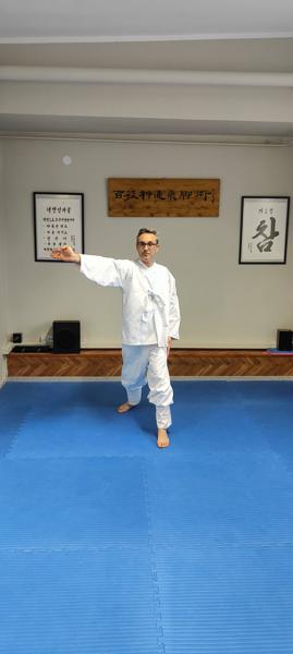 Taekkyeon — Dojang José Vasconcelos